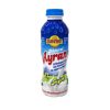 ayran 250ml suntat